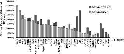 Identification and Expression Analysis of GRAS Transcription Factor Genes Involved in the Control of Arbuscular Mycorrhizal Development in Tomato